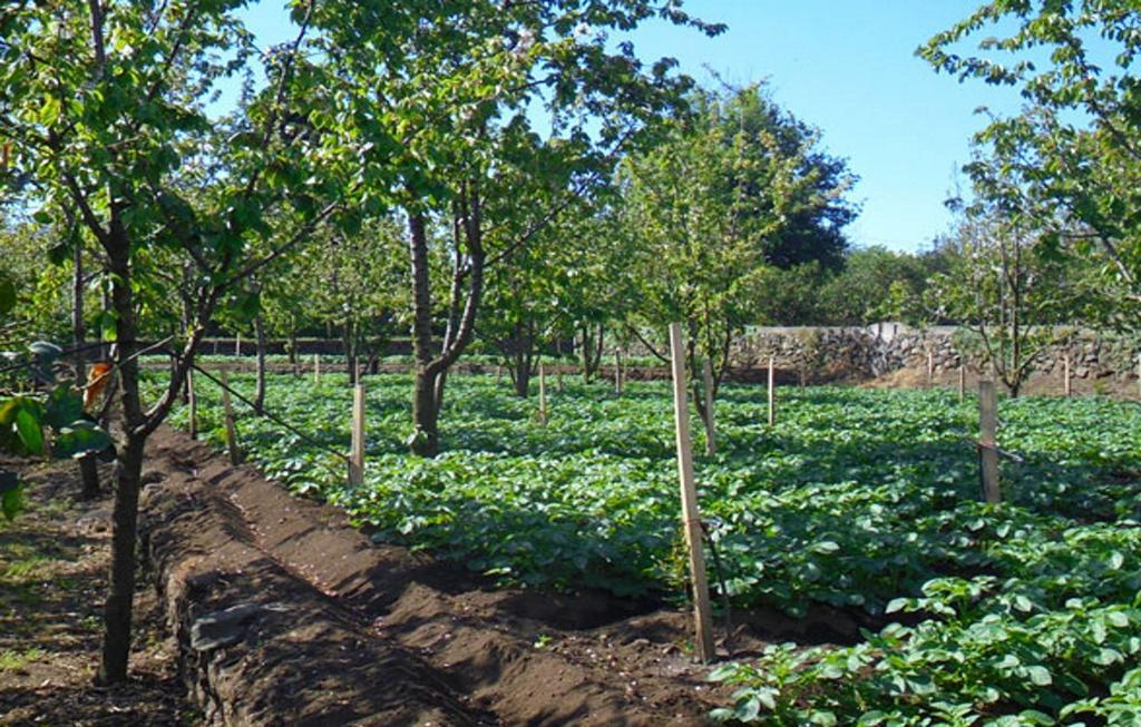 Baglio Delle Rose Bed and Breakfast Giarre Εξωτερικό φωτογραφία