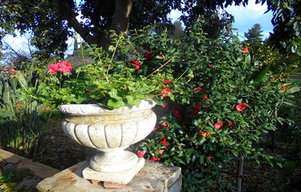 Baglio Delle Rose Bed and Breakfast Giarre Εξωτερικό φωτογραφία