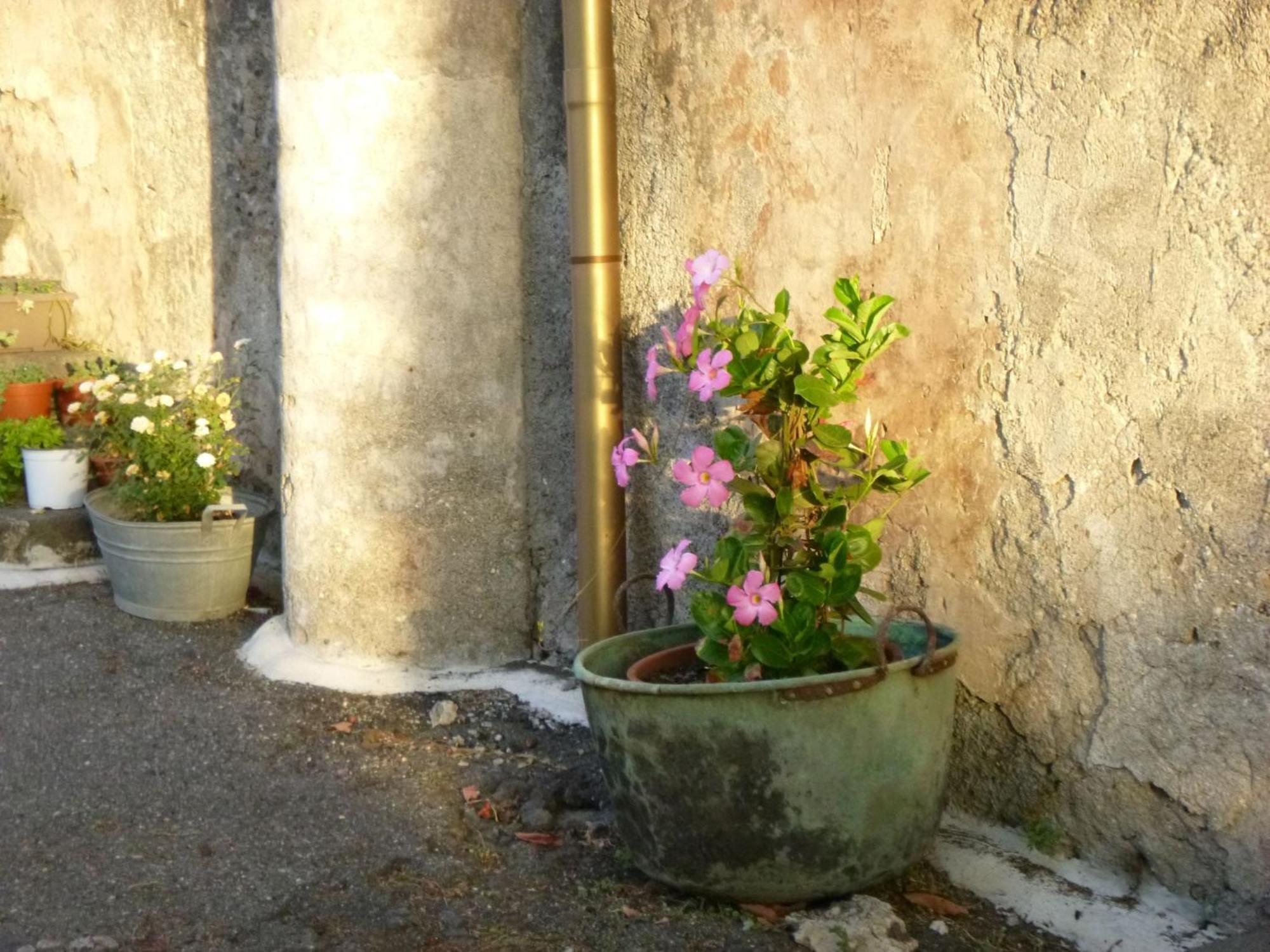 Baglio Delle Rose Bed and Breakfast Giarre Εξωτερικό φωτογραφία