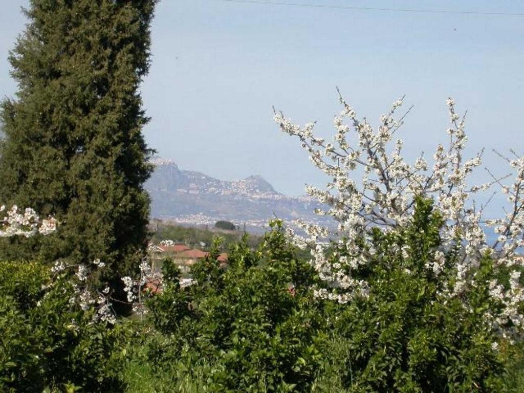 Baglio Delle Rose Bed and Breakfast Giarre Εξωτερικό φωτογραφία